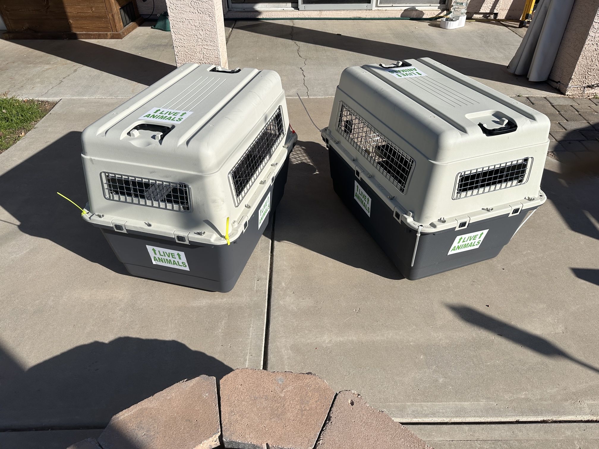 IATA Approved Dog Kennels