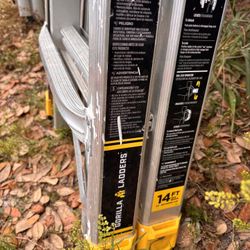 Werner Gorilla Ladder 