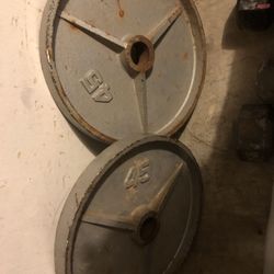 2 45lb plates