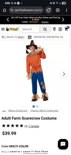 Spirit Scarecrow Costume L/XL