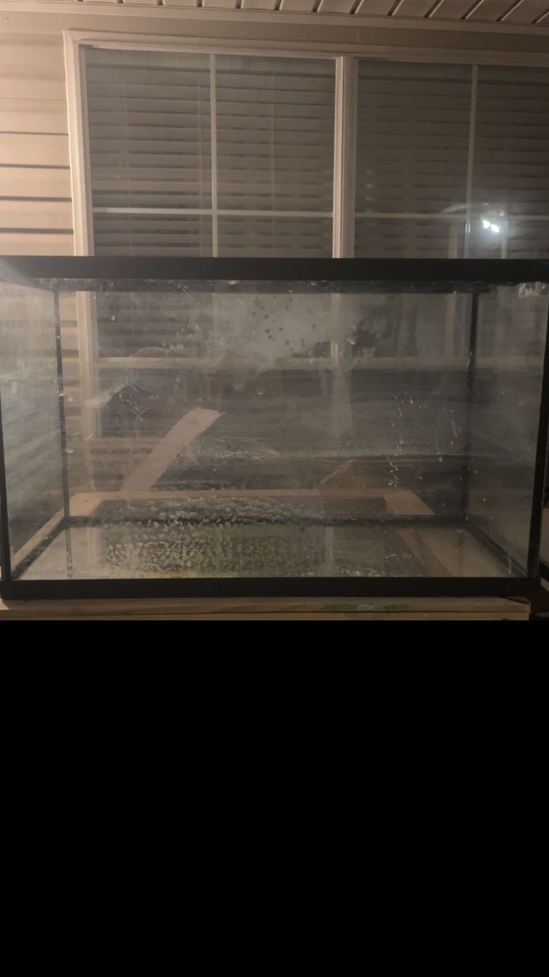 10g Aquarium