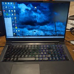 EVOO Gaming Laptop
