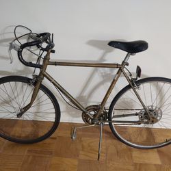 10 Speed 26'' Adult Road Bicycle Bike