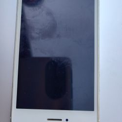 iPads 2 Generation 256 Gig Unlocked 