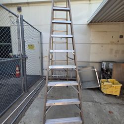 Werner Step Ladder 