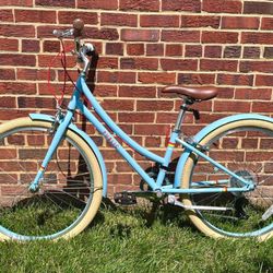 24 in. Kids/Teen Public Bike