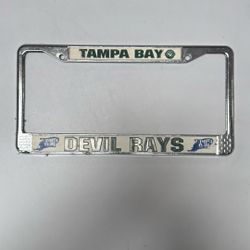 Tampa Bay Devil Rays License Plate Free