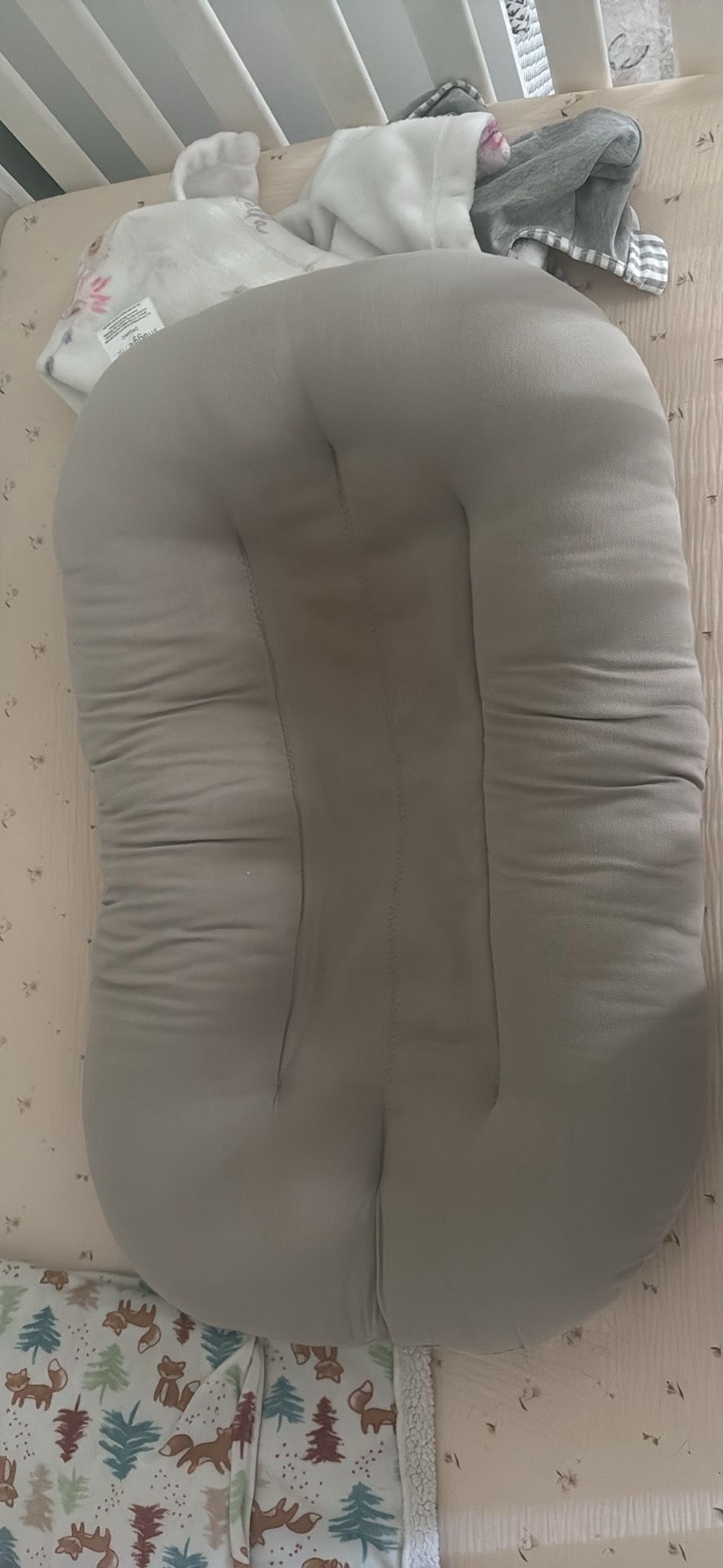 Snuggle Me Bassinet