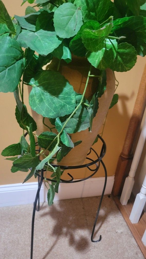 Artificial Plant, Vaseline and Stand