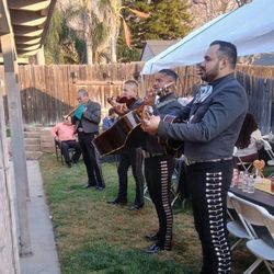 Mariachi Nuevo Union