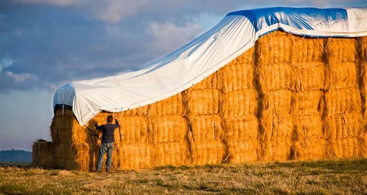 Hay Tarps