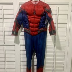 Spider-Man Boys Costume