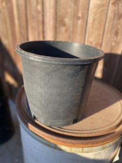Nursery 5 Gallon Pots