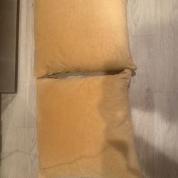 Gorgeous Decorative Accent/Throw Pillows