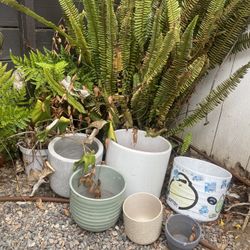 Variety Of Pots 