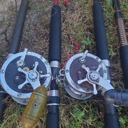 Penn fishing reels