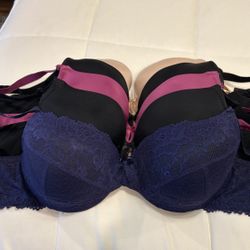 Torrid Bras/ $10  Each