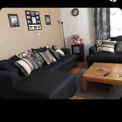 Small Sectional & Loveseat 