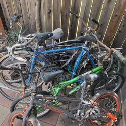 Various Bikes (Cruise, Mountain, BmX, Etc)