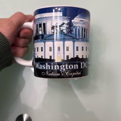 Washington D.C. Mug