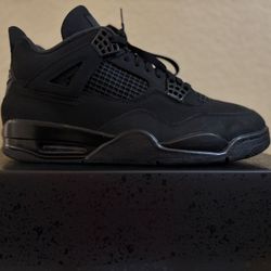 Jordan “Black cat” 4’s