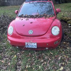 New Beetle Hatch Back-Fast Back