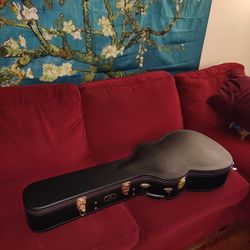 New Breedlove Acoustic Guitar Case