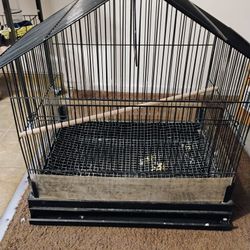 Bird Cage