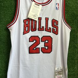 PREMIUM GOLD MITCHELL & NESS NBA MICHAEL JORDAN CHICAGO BULLS 95-96 JERSEY for Sale in Oak Lawn, IL - OfferUp