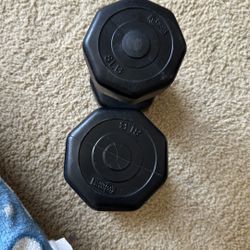 8 Lbs Dumbbells 💪🏼 