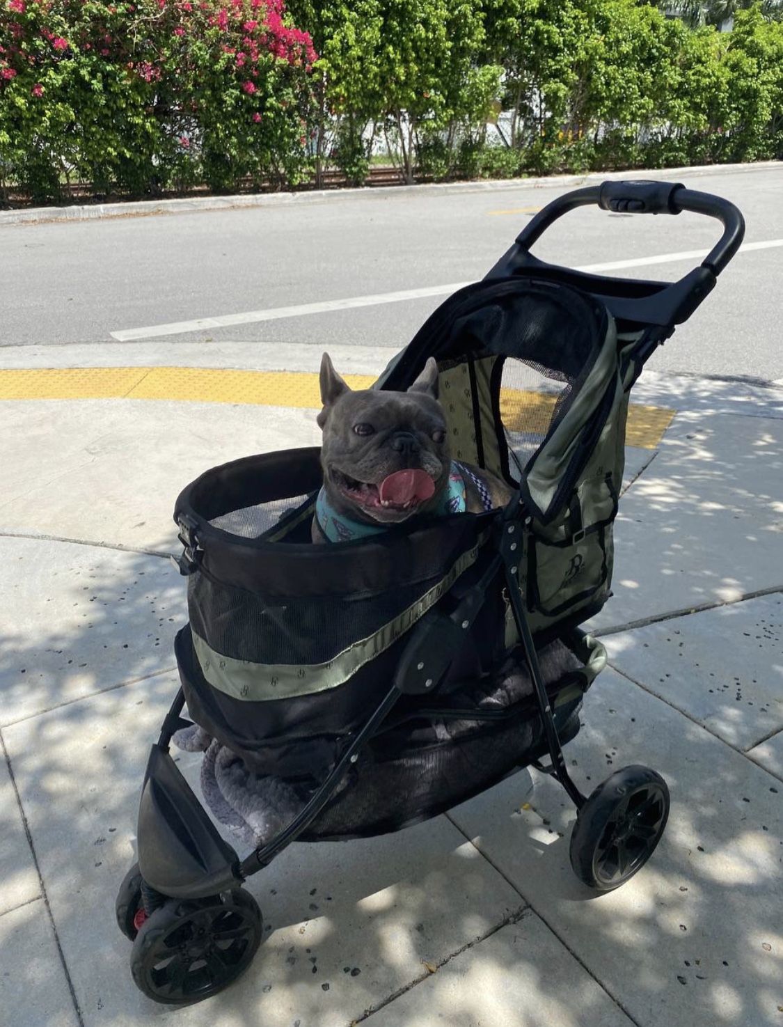 SPORTY PET DOG STROLLER