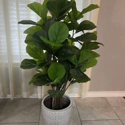Fake Plant 