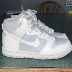 nike dunk (summit white/pure platinum)