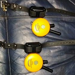  Mini Educator ET-300 remote dog training collar system