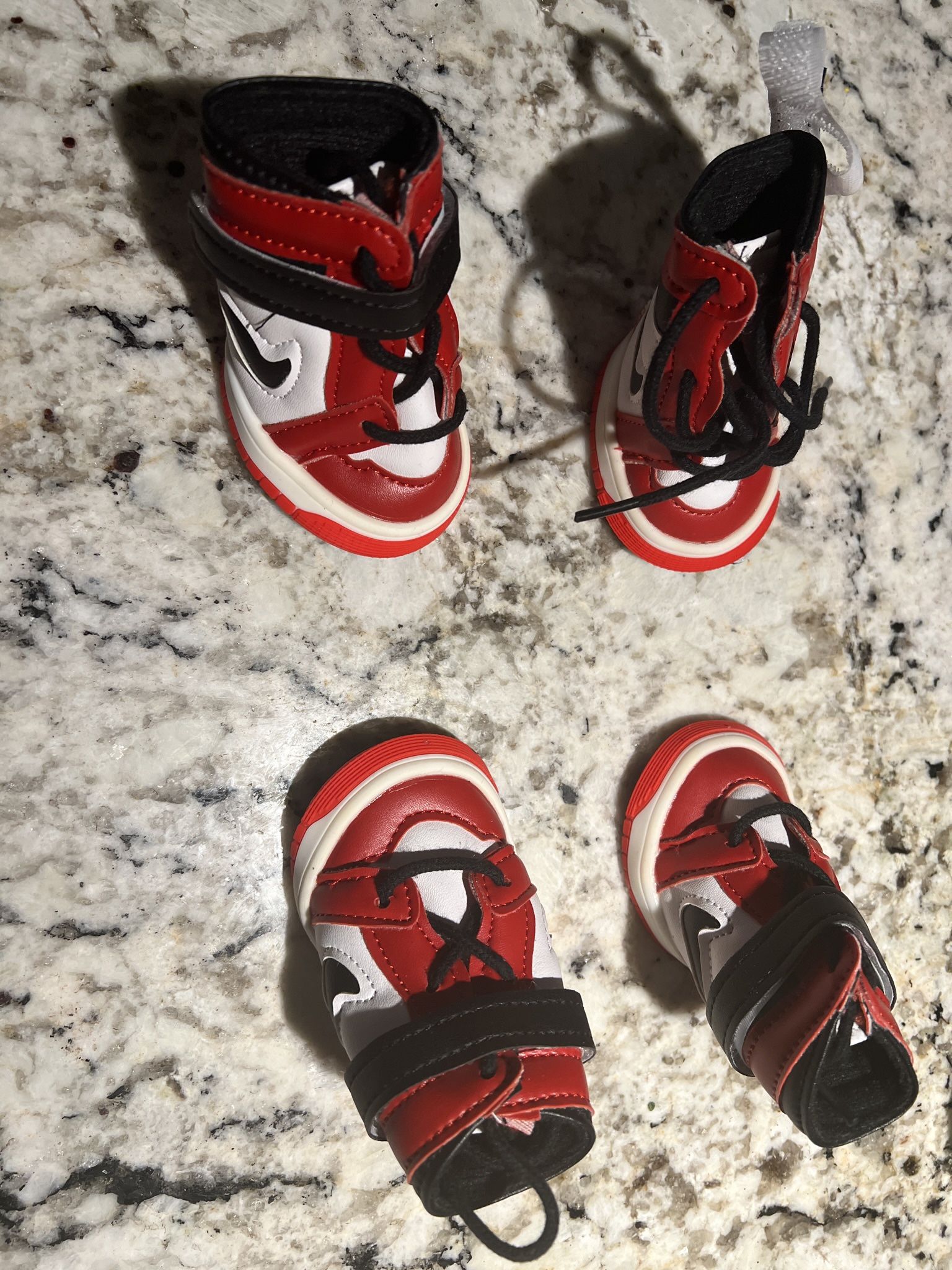 Air jordan deals dog shoes