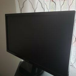 Asus LCD Monitor 