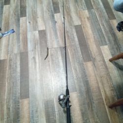 Fishing Pole And Reel