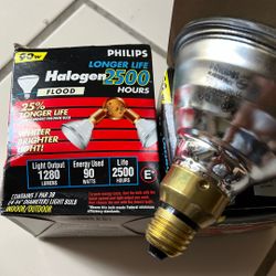 Phillips Halogen Bulb