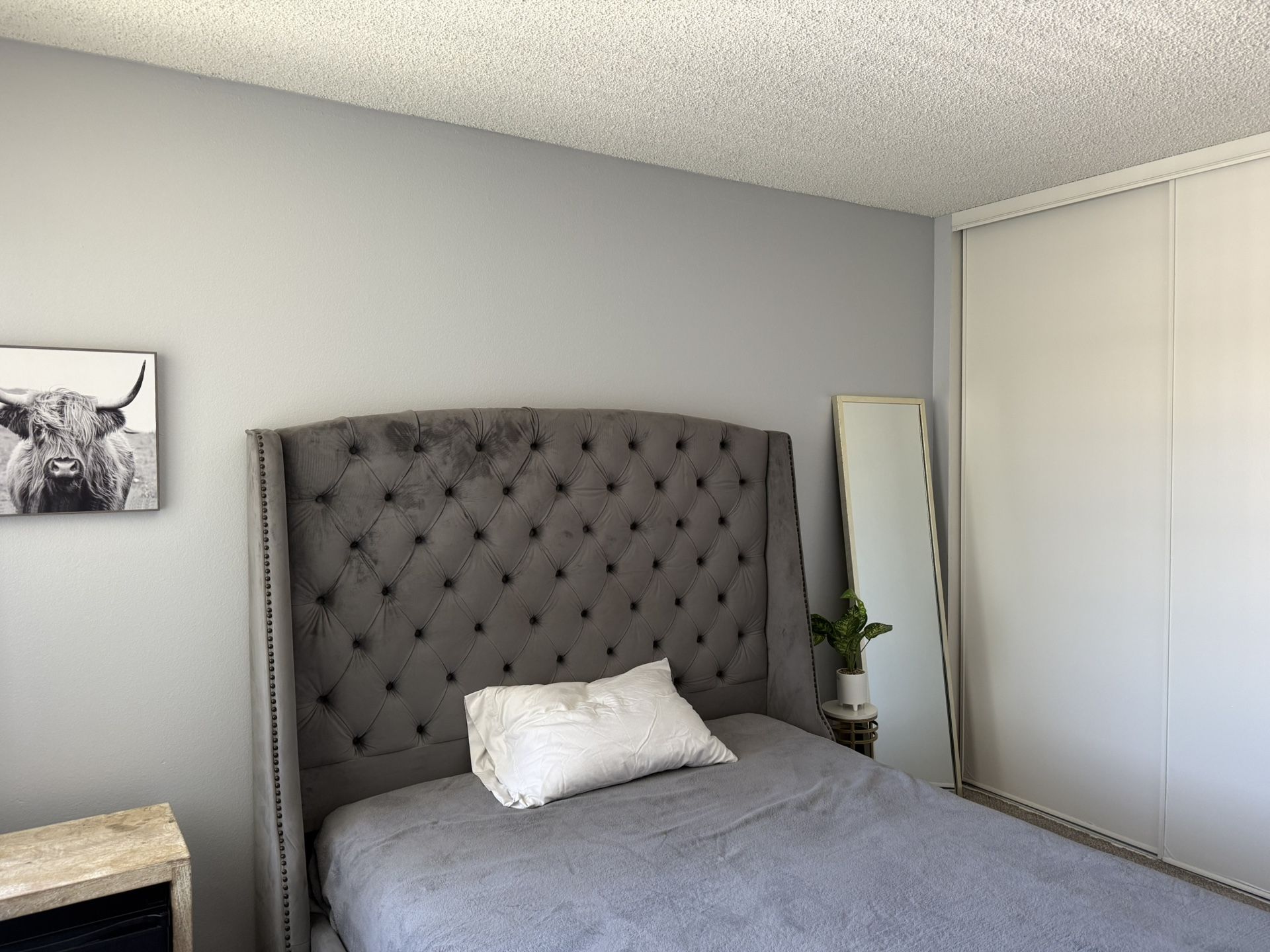 Queen Velvet Tufted bed Frame