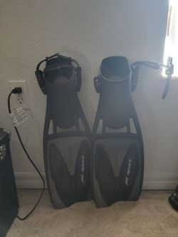 Flippers