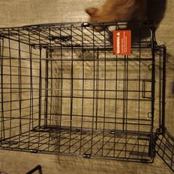 dog crate