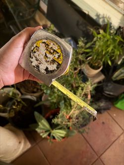 Stanley Tape Measure Heavy Duty