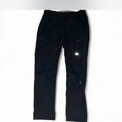 Dickies Flex Pants 