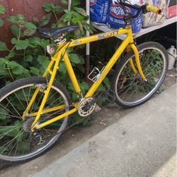 Bike
