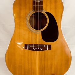 Gamma acoustic guitar