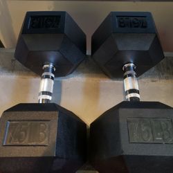 Weights 75lbs Dumbells 