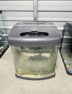 Biocube fish tank aquarium