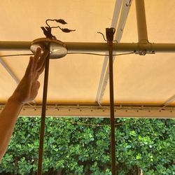 5 Feet Hanging Lights