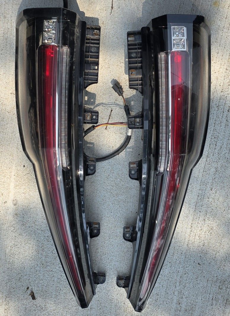 2015 Cadillac Escalade Taillight Pair OEM