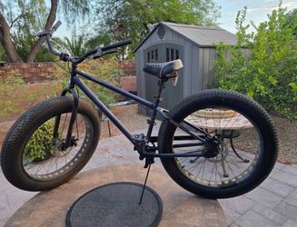 Fat tire bike